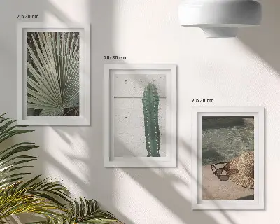 Conjunto de molduras com imagens de plantas tropicais e acessórios para férias à beira-mar
