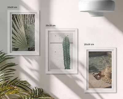 Conjunto de molduras com imagens Plantas tropicais e acessórios para férias à beira-mar