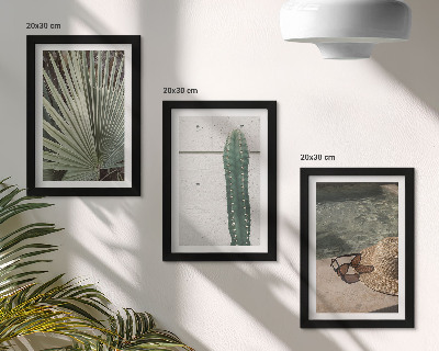 Conjunto de molduras com imagens Plantas tropicais e acessórios para férias à beira-mar