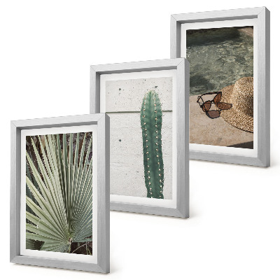 Conjunto de molduras com imagens Plantas tropicais e acessórios para férias à beira-mar
