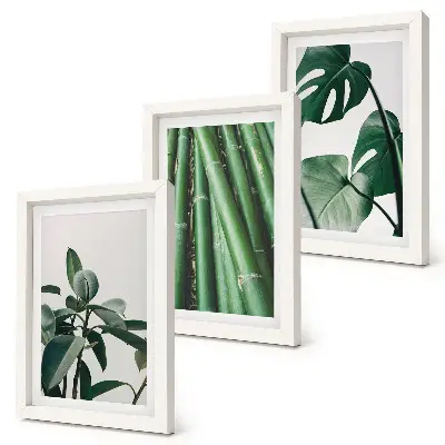 Conjunto de 3 quadros decorativos com estampas de caules de bambu, planta de interior e folhas de monstera