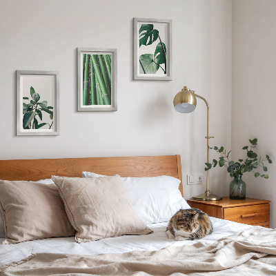 Conjunto de 3 quadros decorativos Caules de bambu, planta de interior, e folhas de monstera.