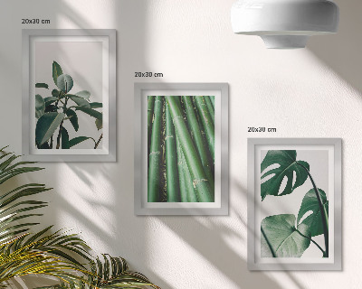 Conjunto de 3 quadros decorativos Caules de bambu, planta de interior, e folhas de monstera.
