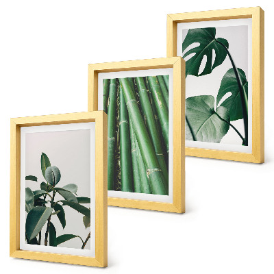 Conjunto de 3 quadros decorativos Caules de bambu, planta de interior, e folhas de monstera.