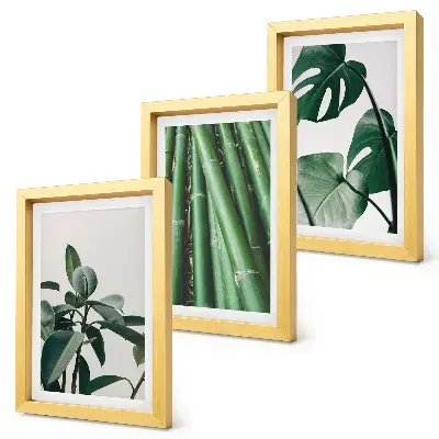 Conjunto de 3 quadros decorativos com estampas de caules de bambu, planta de interior e folhas de monstera