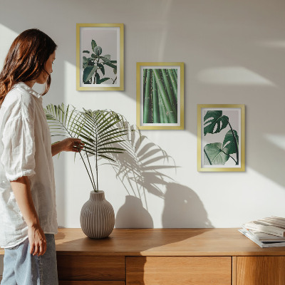 Conjunto de 3 quadros decorativos Caules de bambu, planta de interior, e folhas de monstera.
