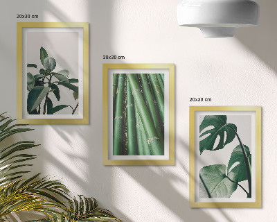 Conjunto de 3 quadros decorativos Caules de bambu, planta de interior, e folhas de monstera.