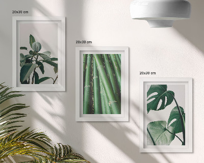 Conjunto de 3 quadros decorativos Caules de bambu, planta de interior, e folhas de monstera.