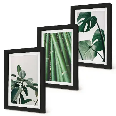 Conjunto de 3 quadros decorativos com estampas de caules de bambu, planta de interior e folhas de monstera