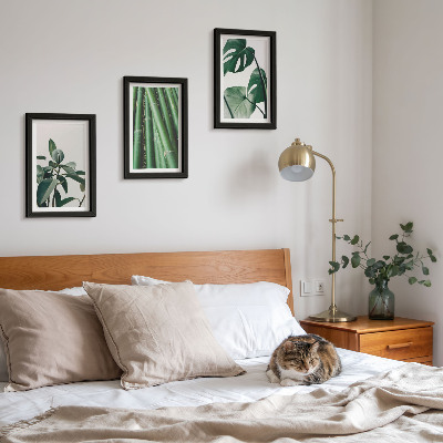Conjunto de 3 quadros decorativos Caules de bambu, planta de interior, e folhas de monstera.