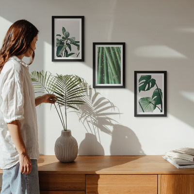 Conjunto de 3 quadros decorativos Caules de bambu, planta de interior, e folhas de monstera.