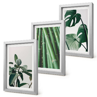 Conjunto de 3 quadros decorativos Caules de bambu, planta de interior, e folhas de monstera.