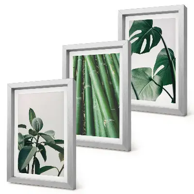 Conjunto de 3 quadros decorativos com estampas de caules de bambu, planta de interior e folhas de monstera