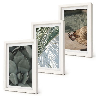 Conjunto de molduras com imagens Plantas tropicais e detalhes de férias de verão