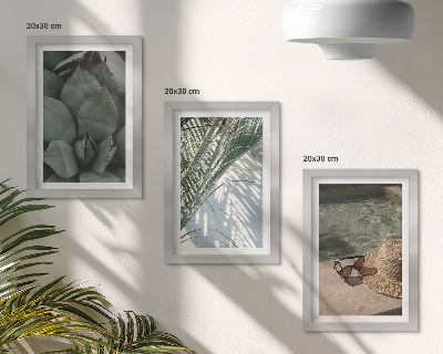Conjunto de molduras com imagens Plantas tropicais e detalhes de férias de verão