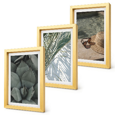 Conjunto de molduras com imagens Plantas tropicais e detalhes de férias de verão