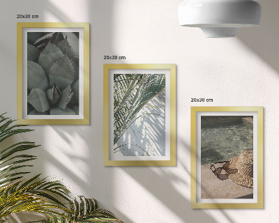 Conjunto de molduras com imagens Plantas tropicais e detalhes de férias de verão