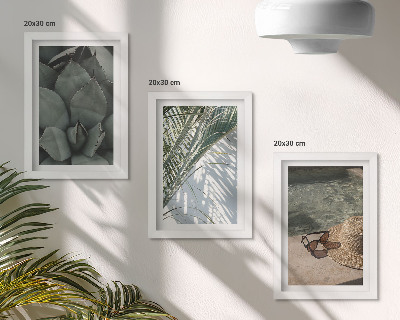 Conjunto de molduras com imagens Plantas tropicais e detalhes de férias de verão
