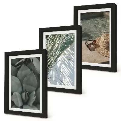 Conjunto de molduras com imagens estampa de plantas tropicais e detalhes de férias de verão