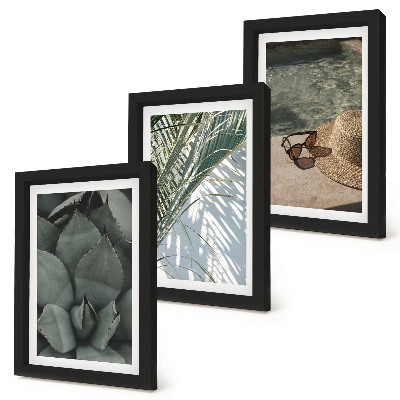 Conjunto de molduras com imagens Plantas tropicais e detalhes de férias de verão
