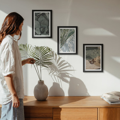 Conjunto de molduras com imagens Plantas tropicais e detalhes de férias de verão