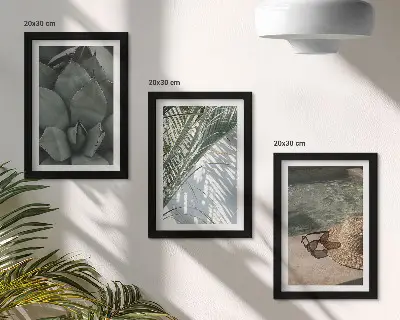 Conjunto de molduras com imagens estampa de plantas tropicais e detalhes de férias de verão