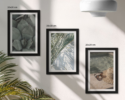Conjunto de molduras com imagens Plantas tropicais e detalhes de férias de verão