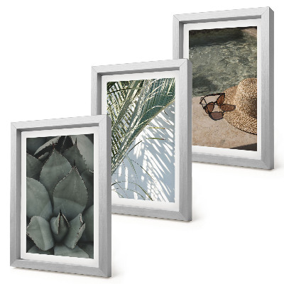 Conjunto de molduras com imagens Plantas tropicais e detalhes de férias de verão