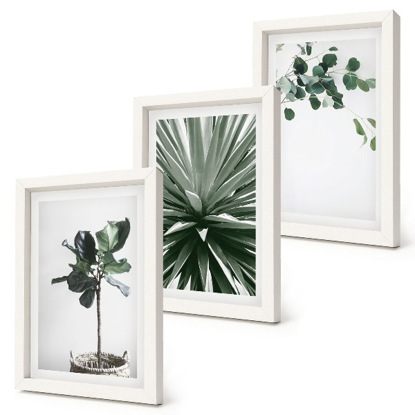 Conjunto de 3 quadros decorativos Plantas verdes em estilo minimalista
