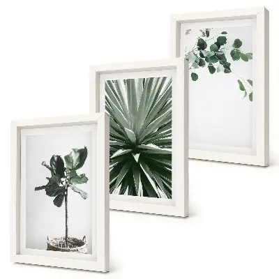 Conjunto de 3 quadros decorativos com estampas de plantas verdes em estilo minimalista