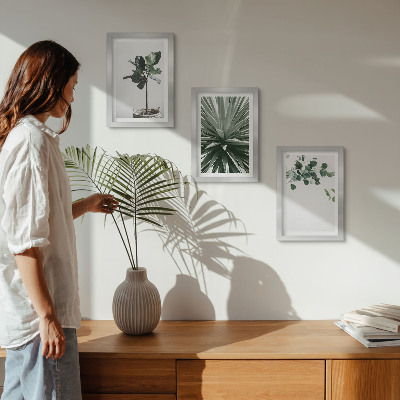Conjunto de 3 quadros decorativos Plantas verdes em estilo minimalista