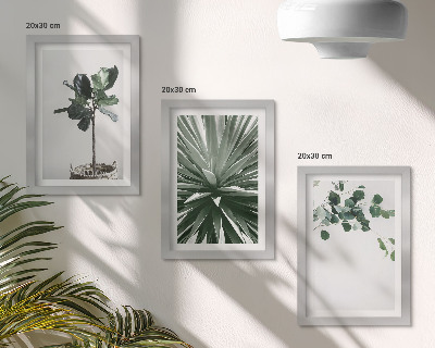 Conjunto de 3 quadros decorativos Plantas verdes em estilo minimalista