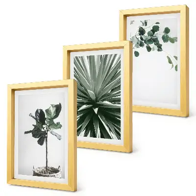 Conjunto de 3 quadros decorativos com estampas de plantas verdes em estilo minimalista