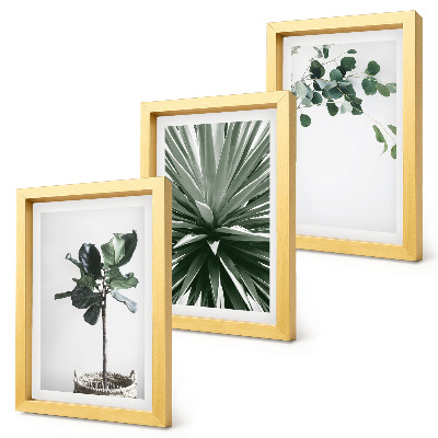 Conjunto de 3 quadros decorativos Plantas verdes em estilo minimalista