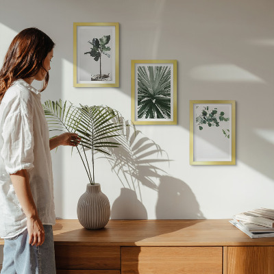 Conjunto de 3 quadros decorativos Plantas verdes em estilo minimalista