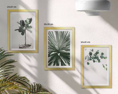 Conjunto de 3 quadros decorativos Plantas verdes em estilo minimalista