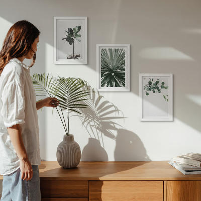Conjunto de 3 quadros decorativos Plantas verdes em estilo minimalista