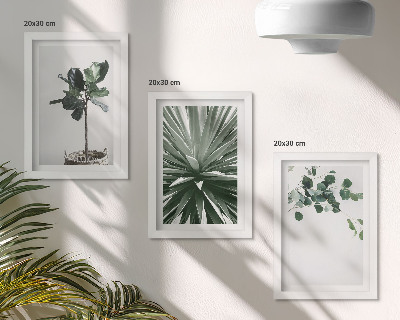 Conjunto de 3 quadros decorativos Plantas verdes em estilo minimalista