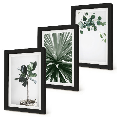 Conjunto de 3 quadros decorativos Plantas verdes em estilo minimalista