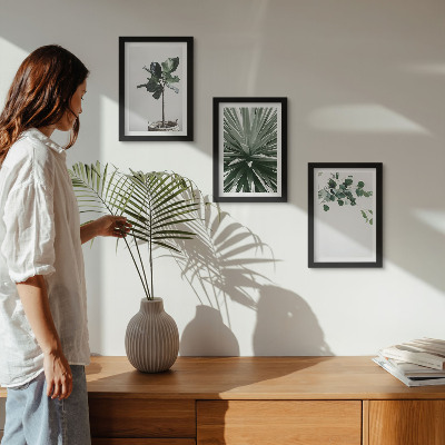 Conjunto de 3 quadros decorativos Plantas verdes em estilo minimalista