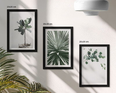 Conjunto de 3 quadros decorativos Plantas verdes em estilo minimalista