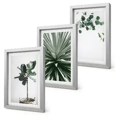 Conjunto de 3 quadros decorativos com estampas de plantas verdes em estilo minimalista