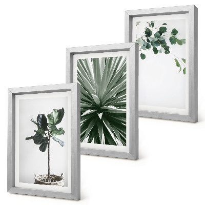 Conjunto de 3 quadros decorativos Plantas verdes em estilo minimalista