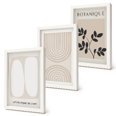 Conjunto de 3 quadros decorativos Pôsteres delicados em estilo boho com motivos abstratos de plantas.