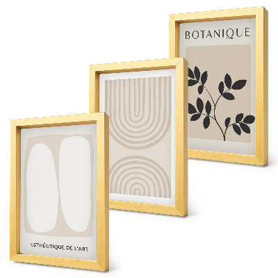 Conjunto de 3 quadros decorativos Pôsteres delicados em estilo boho com motivos abstratos de plantas.