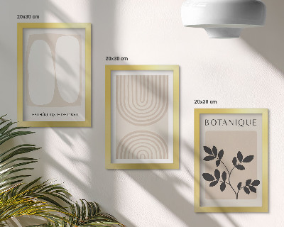 Conjunto de 3 quadros decorativos Pôsteres delicados em estilo boho com motivos abstratos de plantas.