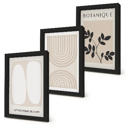 Conjunto de 3 quadros decorativos Pôsteres delicados em estilo boho com motivos abstratos de plantas.