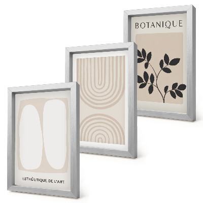 Conjunto de 3 quadros decorativos Pôsteres delicados em estilo boho com motivos abstratos de plantas.
