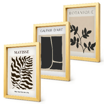 Conjunto de 3 quadros decorativos Pôsteres minimalistas com padrões de plantas e elementos abstratos.