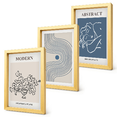 Conjunto de 3 quadros decorativos Pôsteres com linhas florais e formas abstratas
